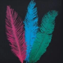 3 PIUME STRUZZO CM.45/50