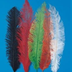 5 PIUME STRUZZO CM. 35/40 COLORI ASSORTITI .