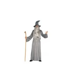 COSTUME DA STREGONE GRIGIO