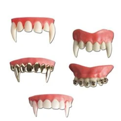 DENTIERA IN PVC ALTA QUALITA' 5 MOD.ASS.