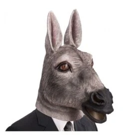 Maschera Asino In Lattice