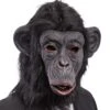 Maschera Gorilla In Lattice Pelo -Pelatelli maschera gorilla in lattice pelo