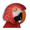 MASCHERA PAPPAGALLO 1 MASCHERA PAPPAGALLO -Pelatelli maschera pappagallo