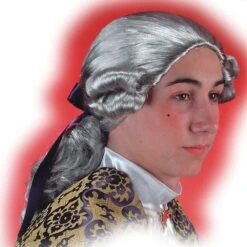 Parrucca Cavaliere Grigio