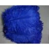 PIUMA DI STRUZZO BLU 60 CM. -Pelatelli piuma di struzzo blu 60 cm