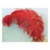 PIUMA DI STRUZZO ROSSA 60 CM. -Pelatelli piuma di struzzo rossa 60 cm