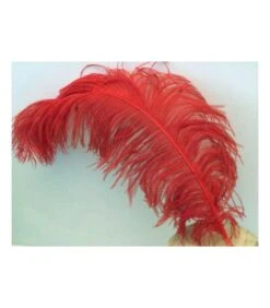 PIUMA DI STRUZZO ROSSA 60 CM.