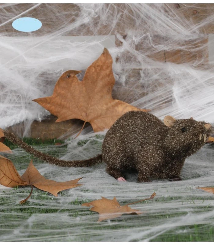 RATTO FINTO 3 RATTO FINTO