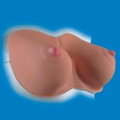 SENO CON ELASTICI IN PLASTICA